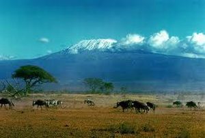 Savanne mit dem Kilimandscharo