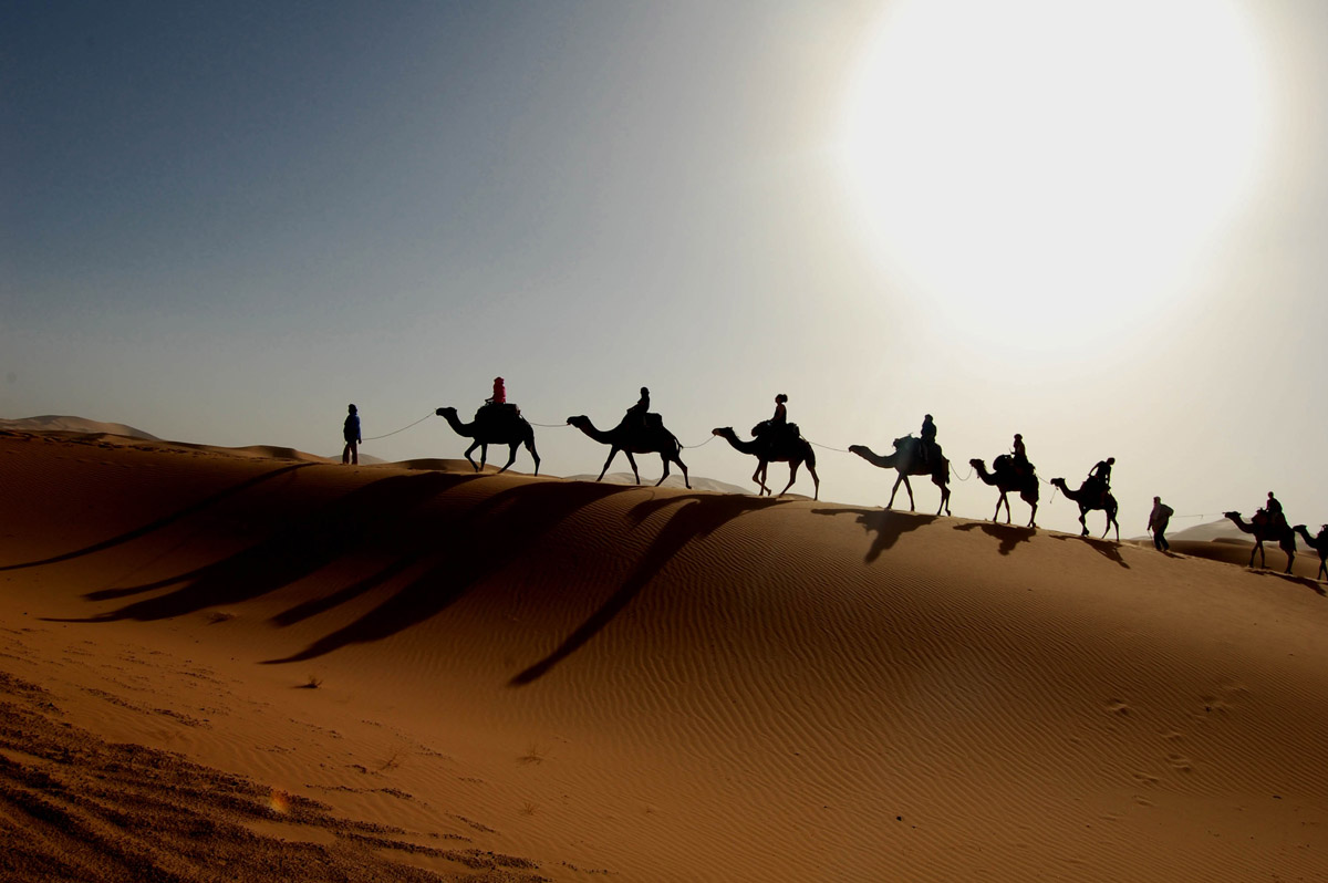 Kamelkarawane in der Sahara