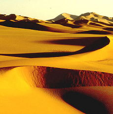 Die Wüste Sahara