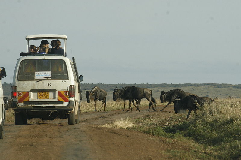 Auf Safari in Kenia (c) Demosh