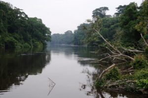 Dja.riviere-