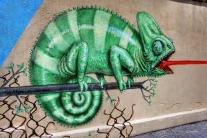 richardmc-street-2556529_1920